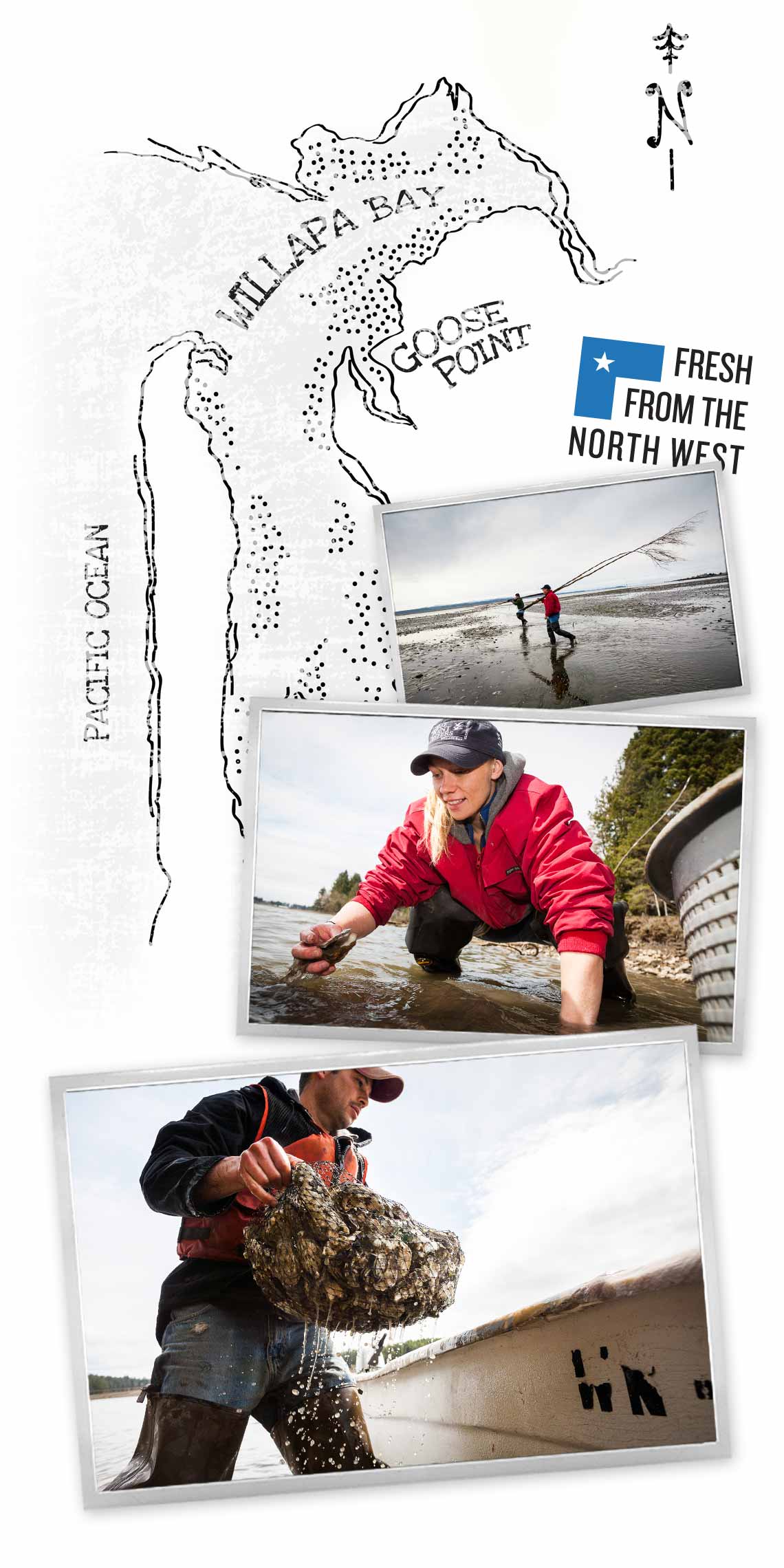 Willapa Bay Oyster Harvest