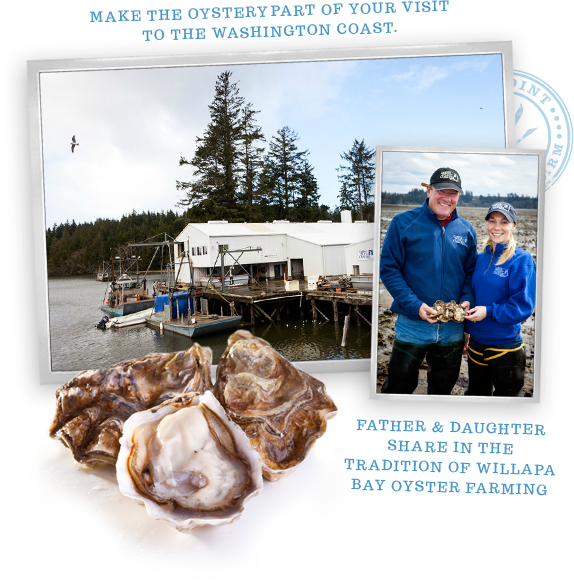 Goose Point Oysters, facility, family owned