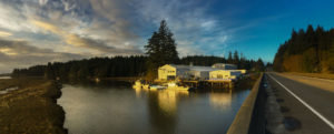 Willapa Bay Washington's Goose Point Shellfish Farm & Oystery
