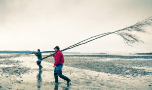 Walking Willapa Bay with the Goose Point family