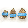 Goose Point Blue Band Oysters, XS, S and M