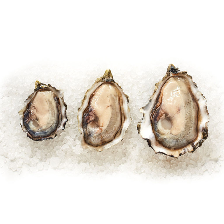 PreShucked BlueSeal™ Oysters Goose Point Shellfish Farm & Oystery