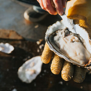 Oyster Steak (Large)