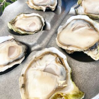 Pacific Seafood Hilton's Fresh, Size x-small, Raw Pacific Oysters